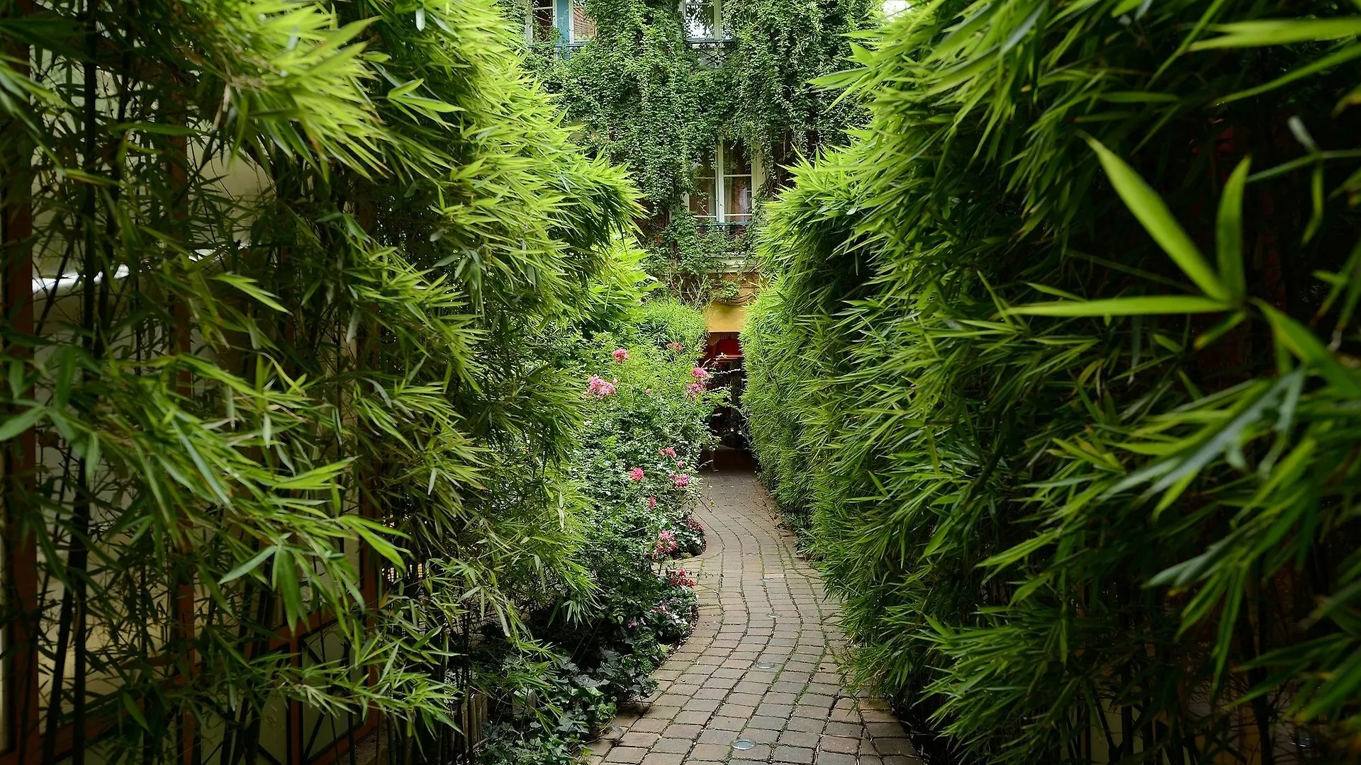 Les Patios Du Marais 1